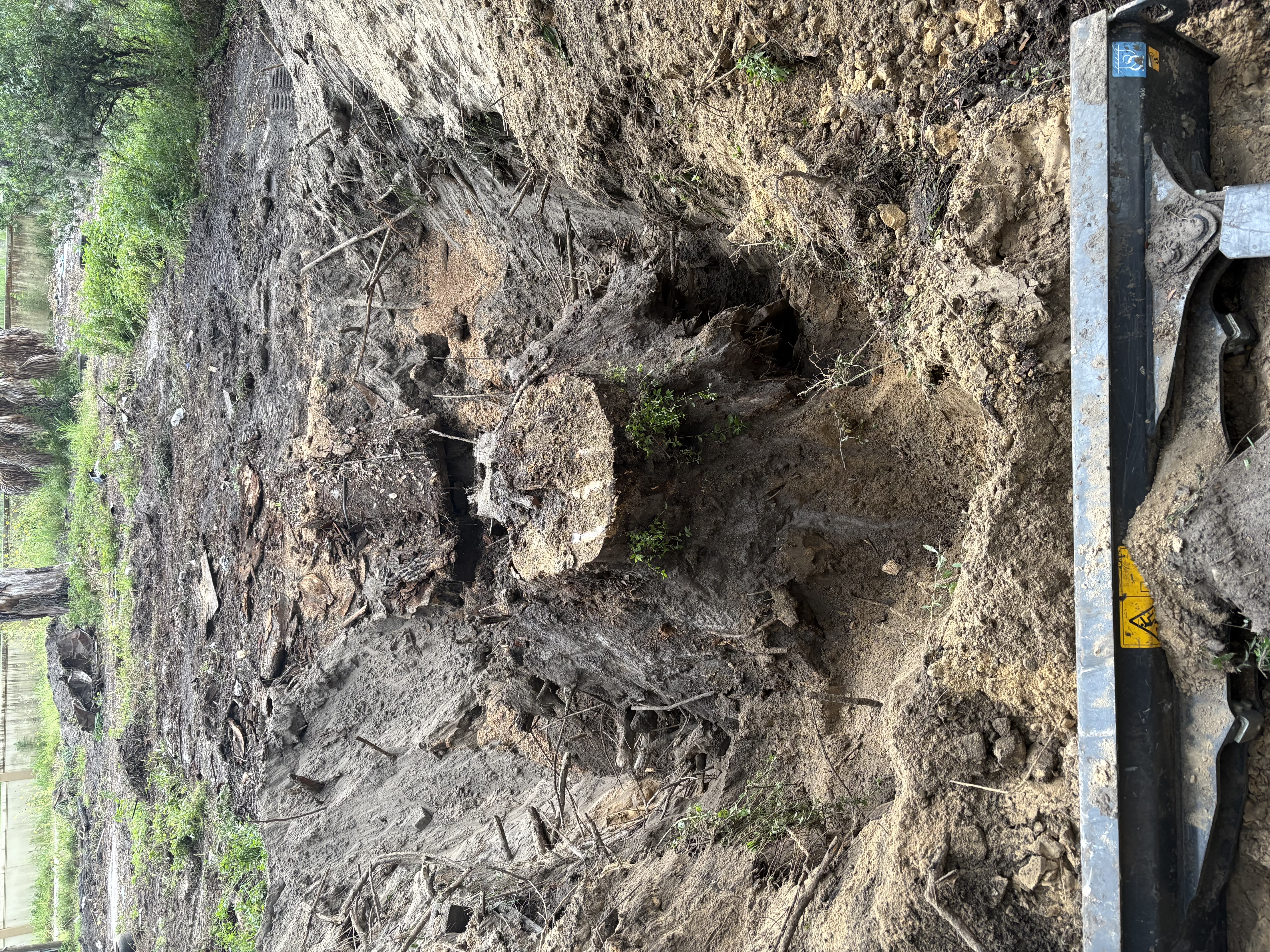 Stump Grinding & Removal