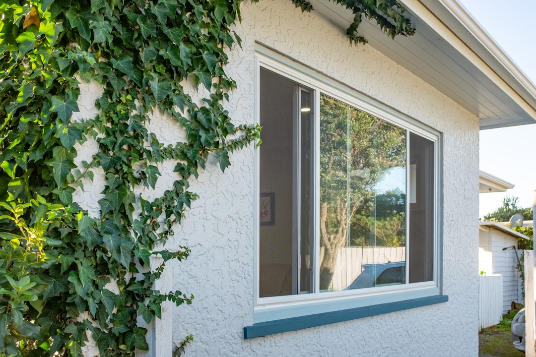 Window renovation
