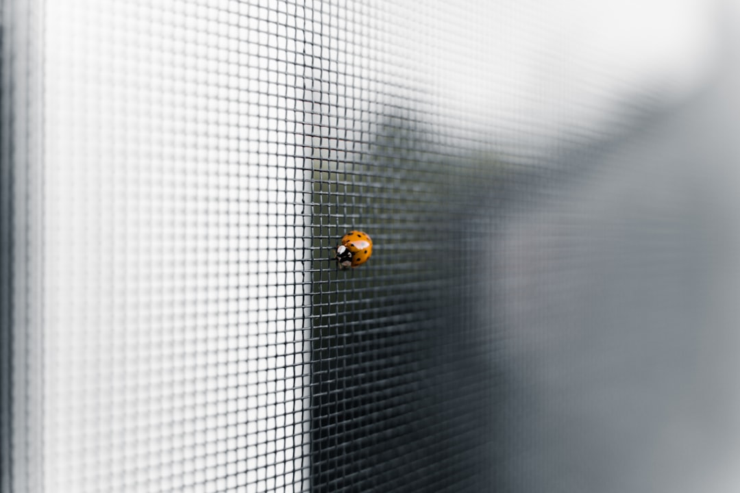 Close-up of new screen mesh being installed