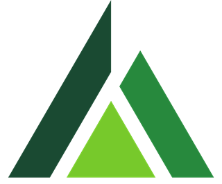 Wantok Insurance logo