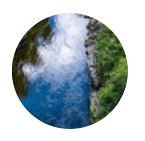 Nature-inspired profile image of student Caroline who shared her watercolor landscape course review