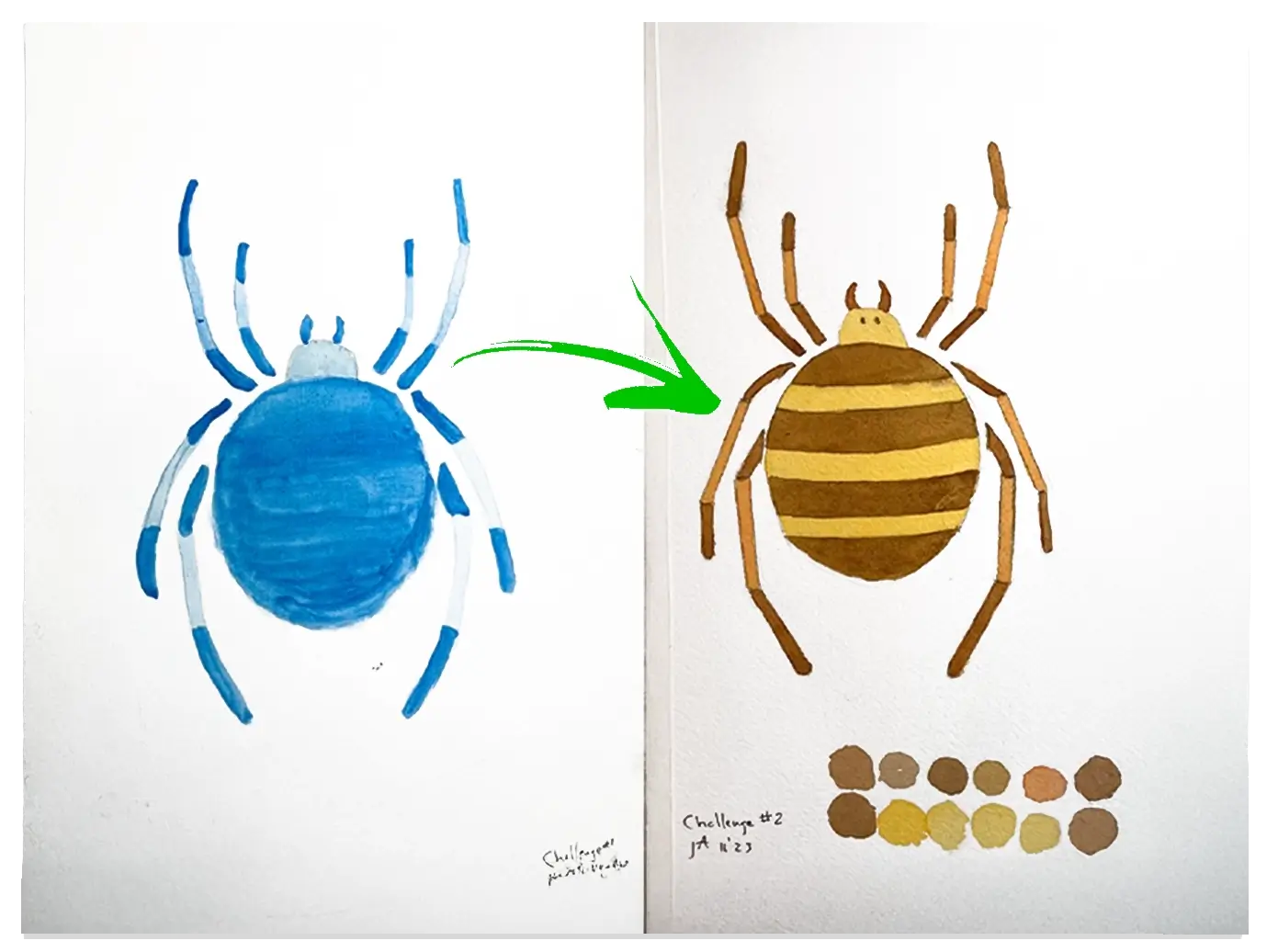 Two spider illustrations side-by-side; left, a blue abstract spider; right, a brown and yellow realistic spider. A green arrow points from blue to brown.