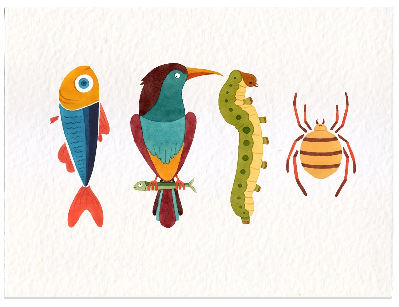 Illustration of a fish, bird, caterpillar, and spider in vibrant colors. The fish is orange and blue, the bird is multicolored, the caterpillar is green, and the spider is orange and brown. The tone is whimsical and playful.
