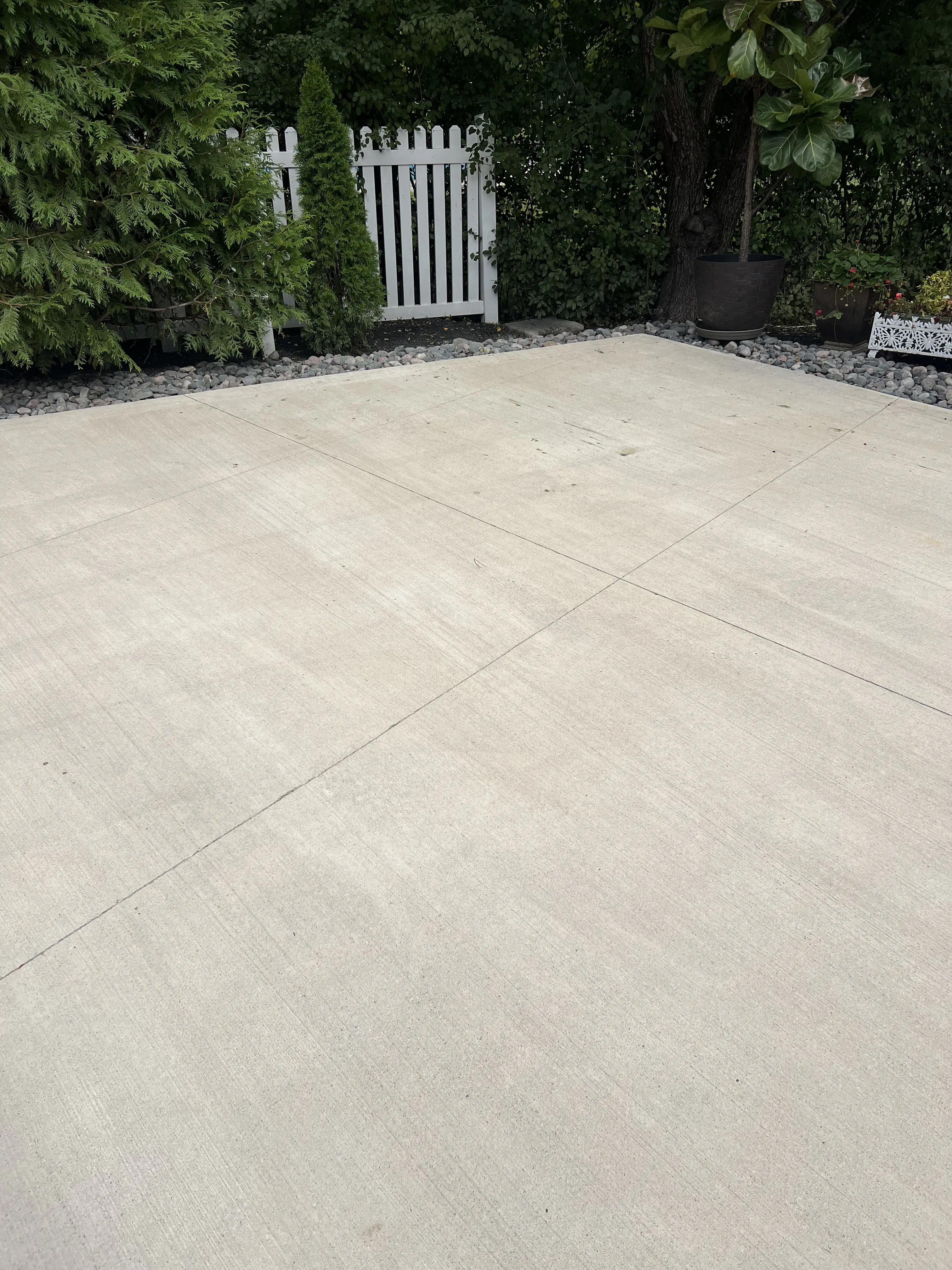 After Algae Removal