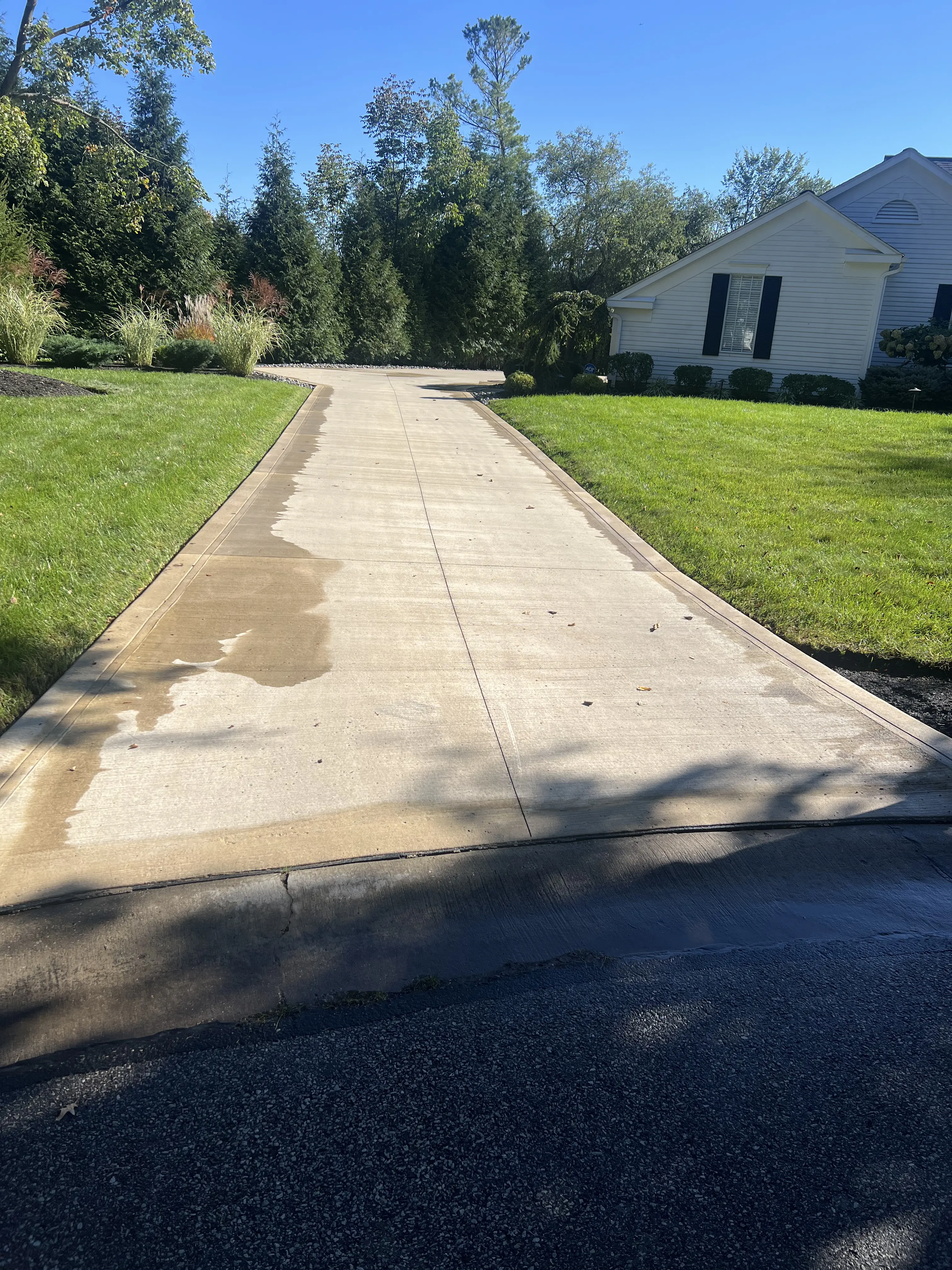Before Algae Removal