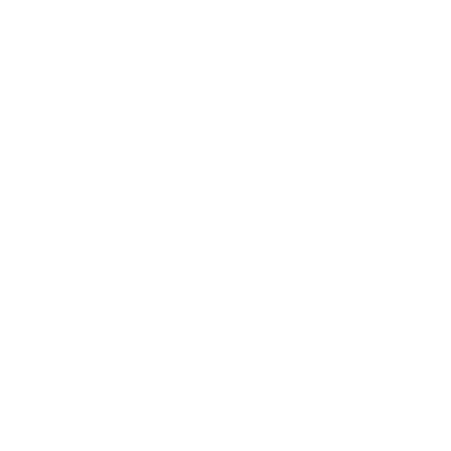 Maximus Consulting LLC