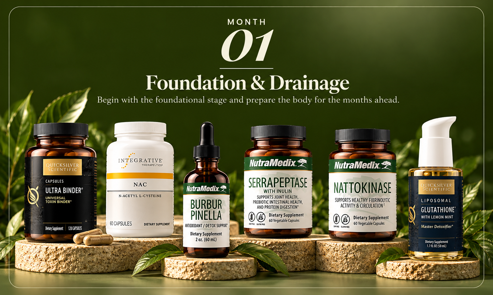Month 1: Foundation & Drainage