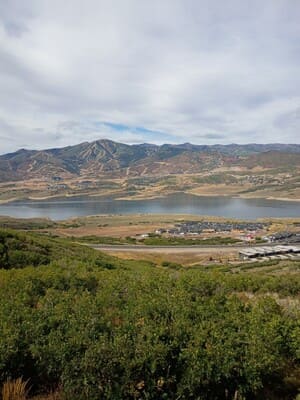 {{ custom_values.service_1 }} in {{custom_values.area_1})