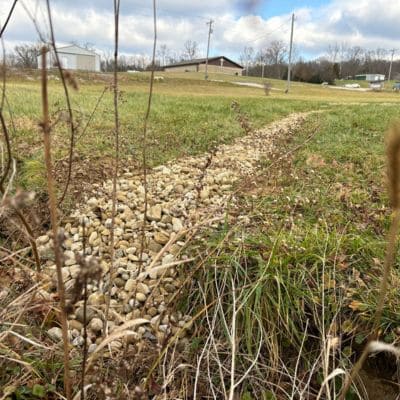 Crawlspace Solutions Carmel