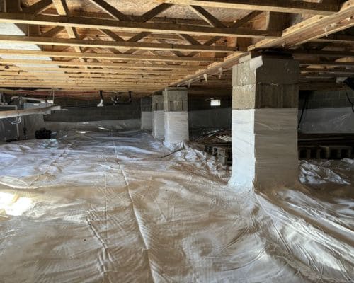 Westfield Crawlspace Solutions