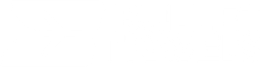 Bullet Travels