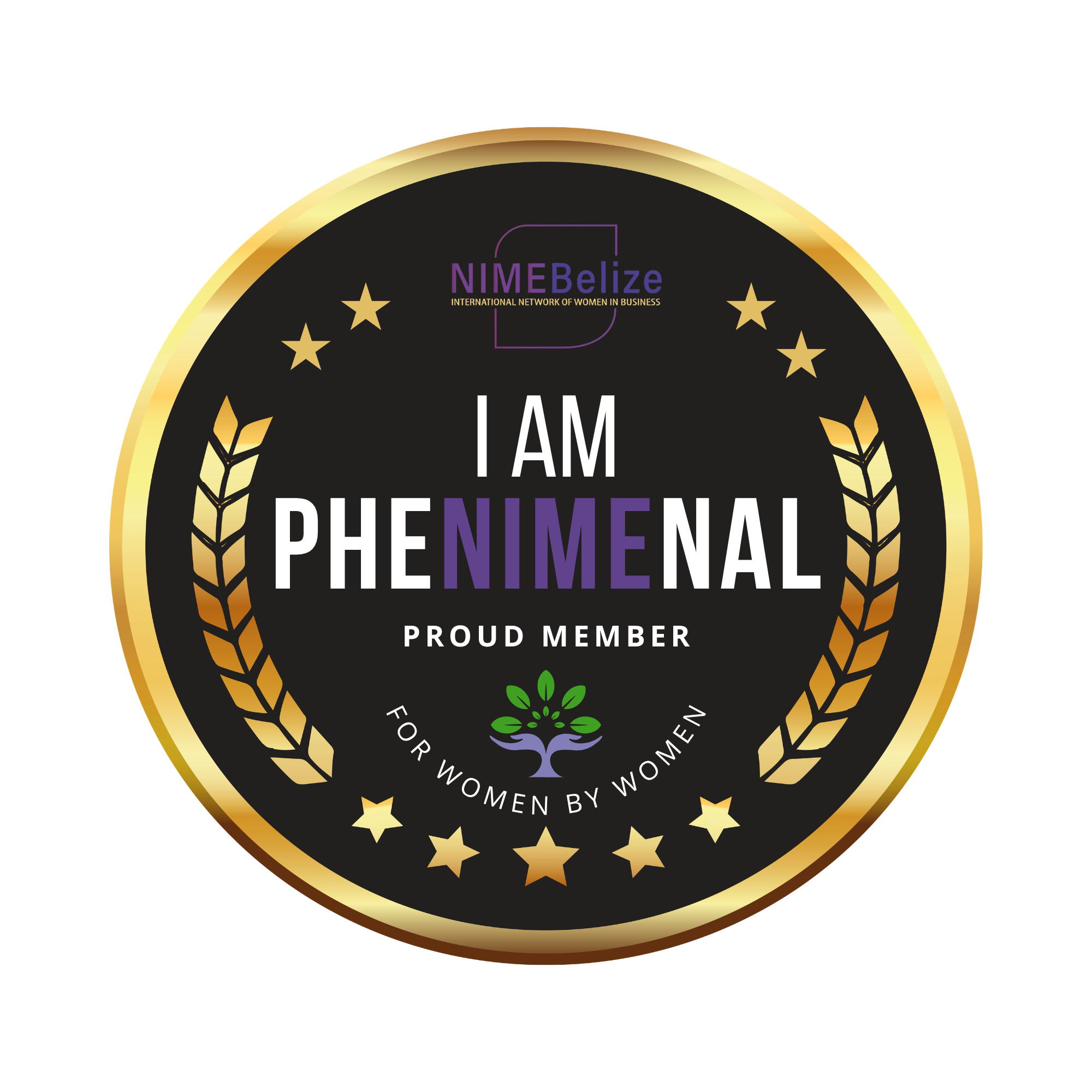 NIME Member Pin