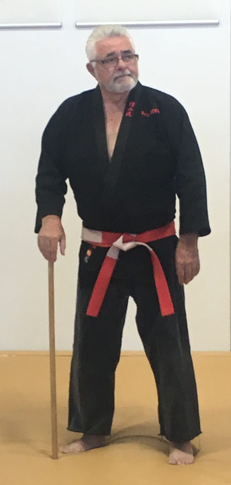 DanZan Ryu