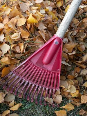 {{ custom_values.service_3 }} in {{custom_values.area_2})