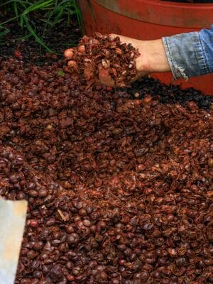 {{ custom_values.service_3 }} in {{custom_values.area_3})