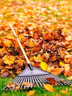 Lawn Mowing in Carmel