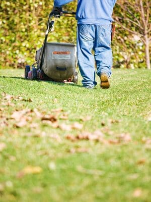 Top Dressing in Carmel