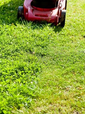 Top Dressing in Carmel