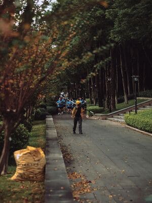 Fertilization & Weed Control in Carmel