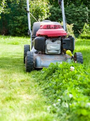 {{ custom_values.service_1 }} in {{custom_values.area_5})