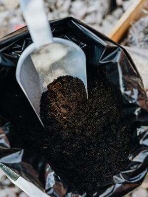 {{ custom_values.service_3 }} in {{custom_values.area_3})