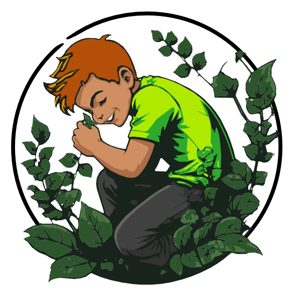 Poison Ivy Removal, LLC