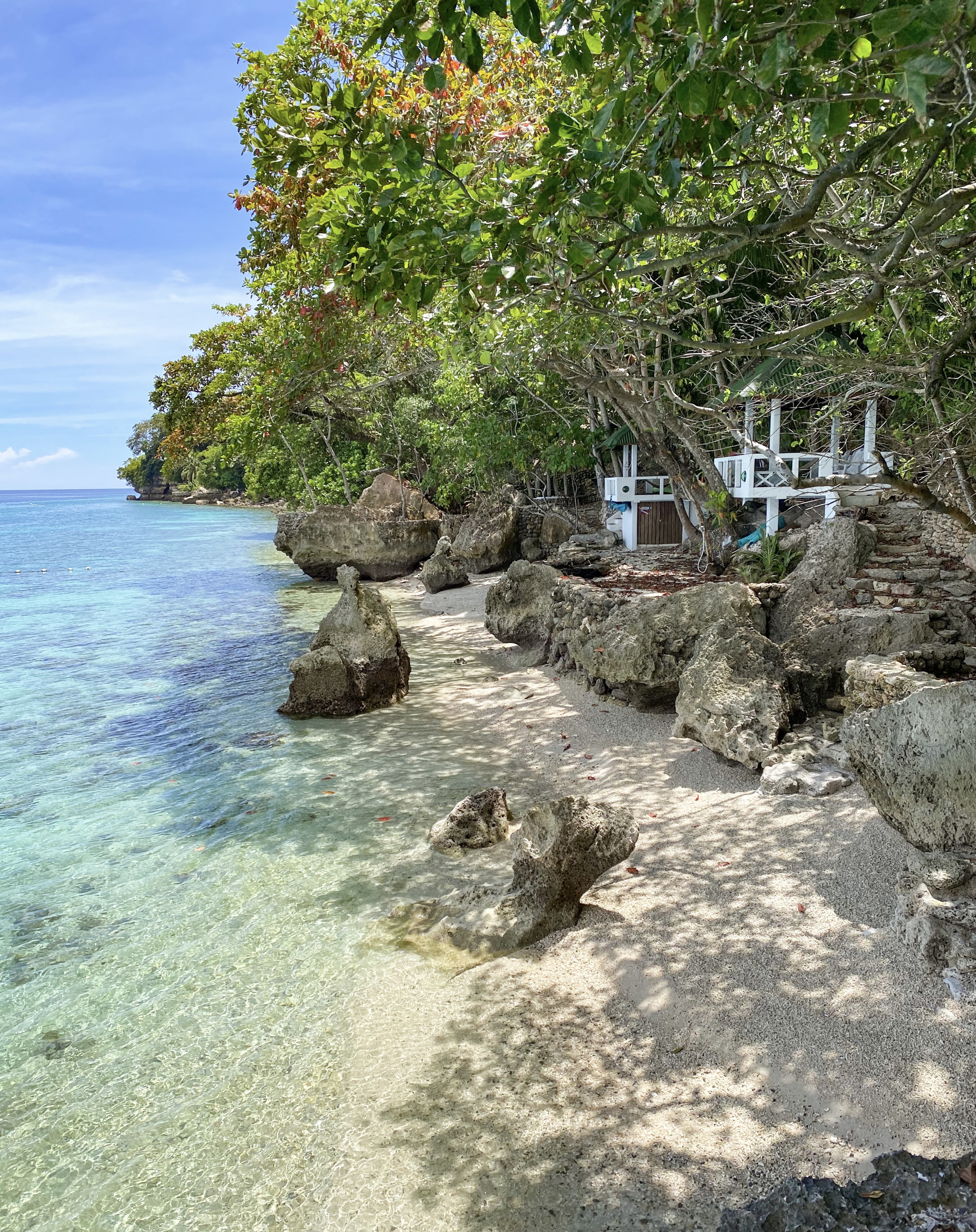 Serene cliffside ocean view