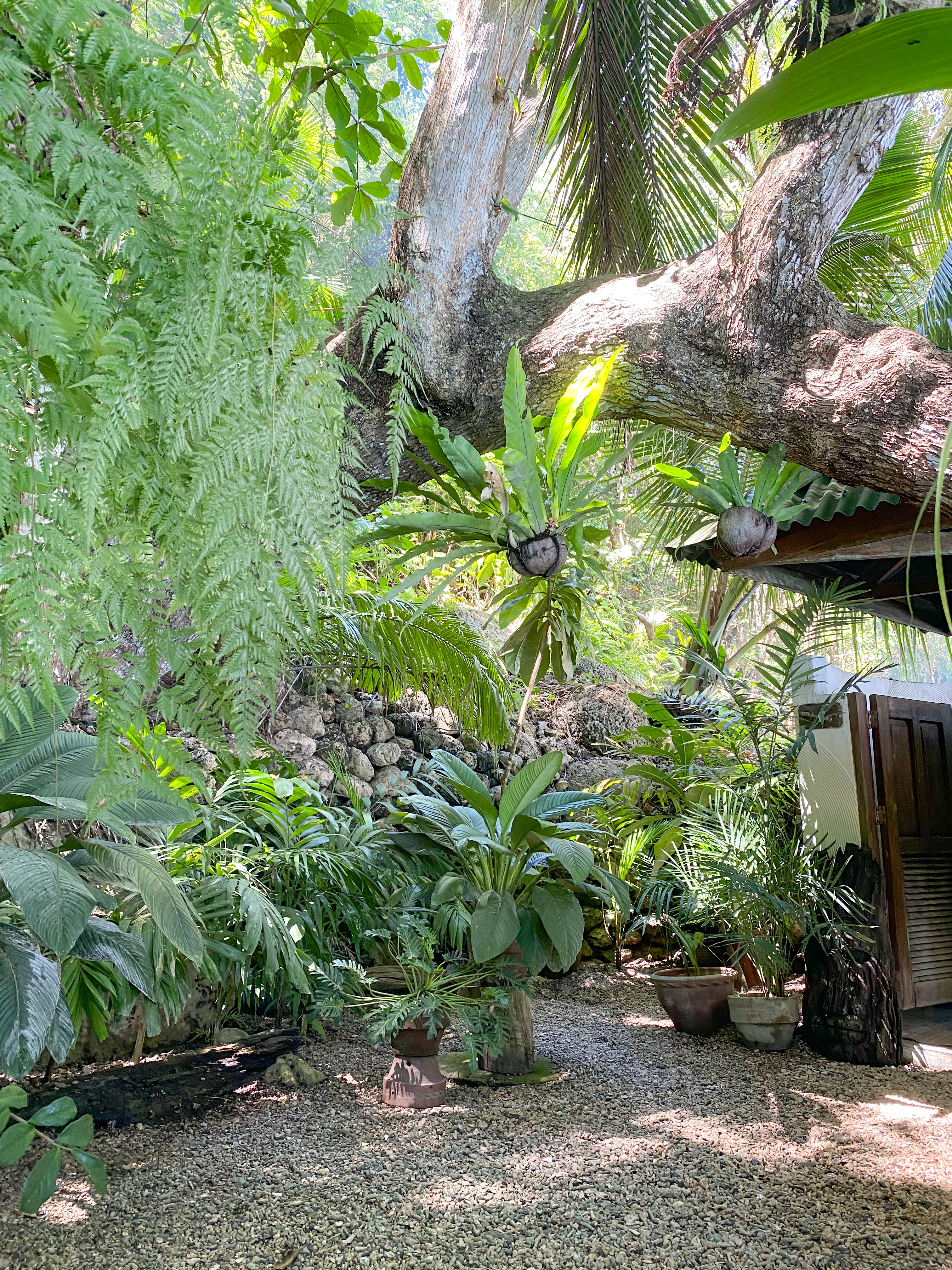 Ocean waves crashing