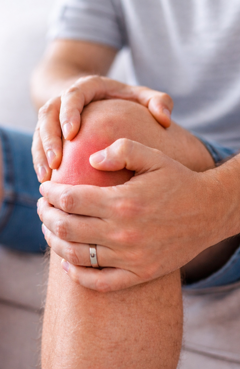 Cartilage regeneration