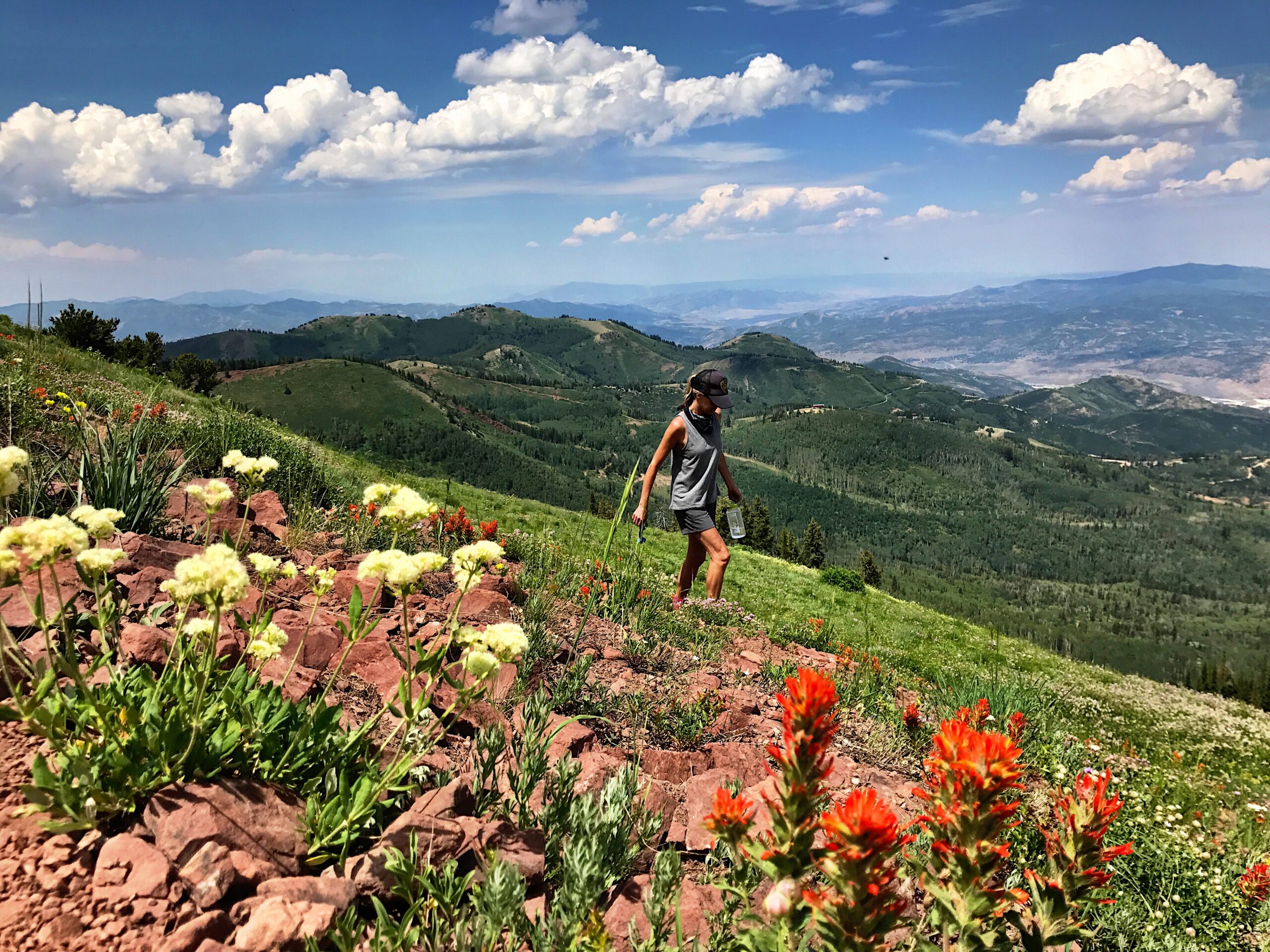 Summer in Utah