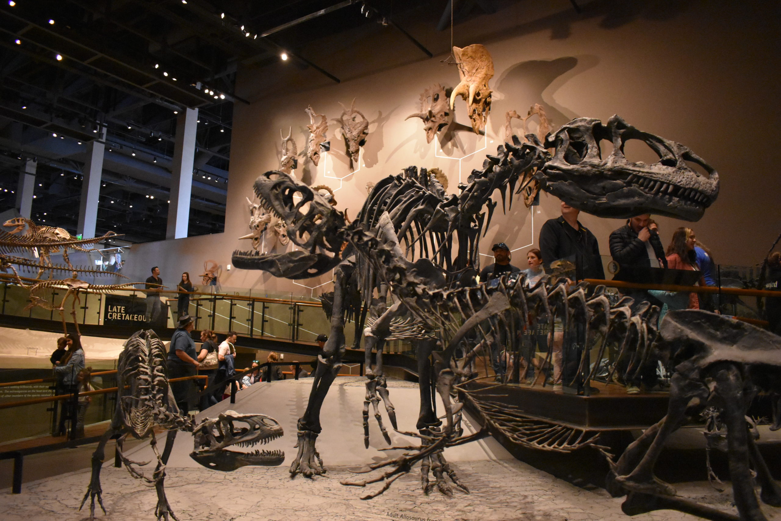 Natural History Museum of Utah