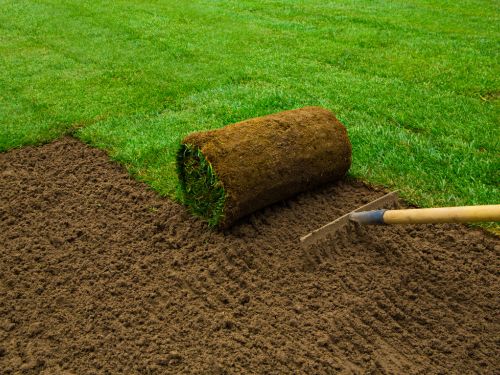 Sod Installation in Hudson