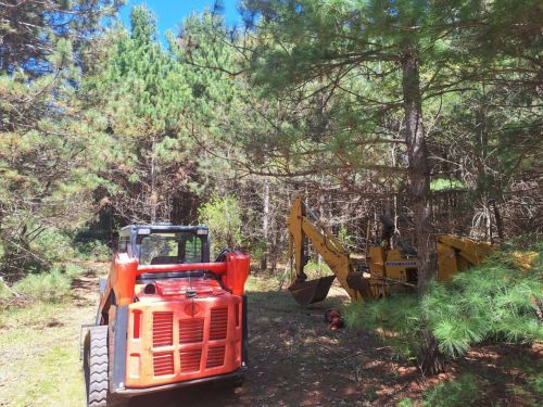 Somerset Lot Clearing