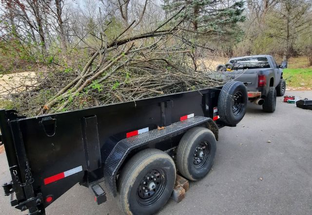 lot clearing Maplewood MN