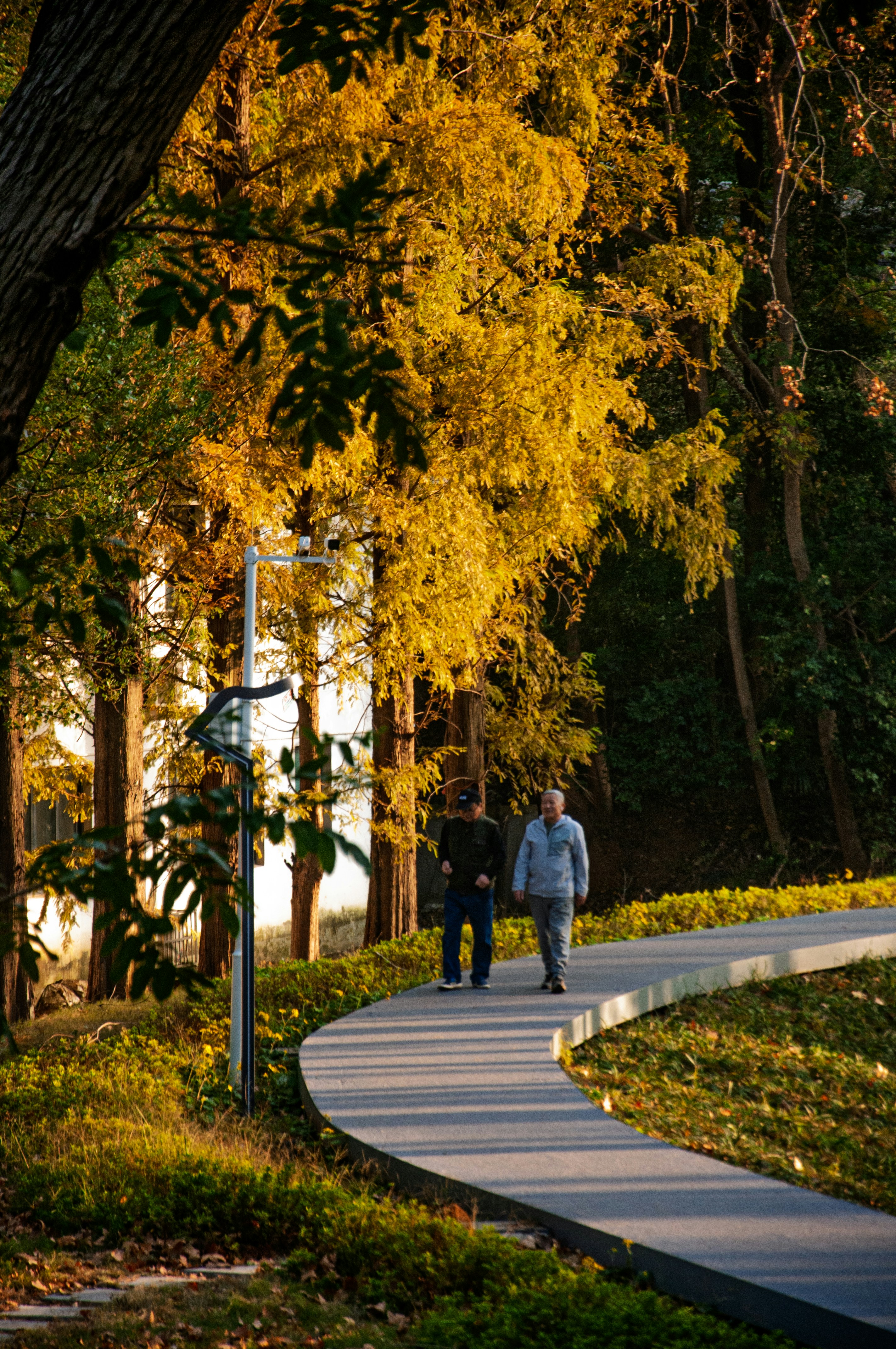 Friends walking Friends walking