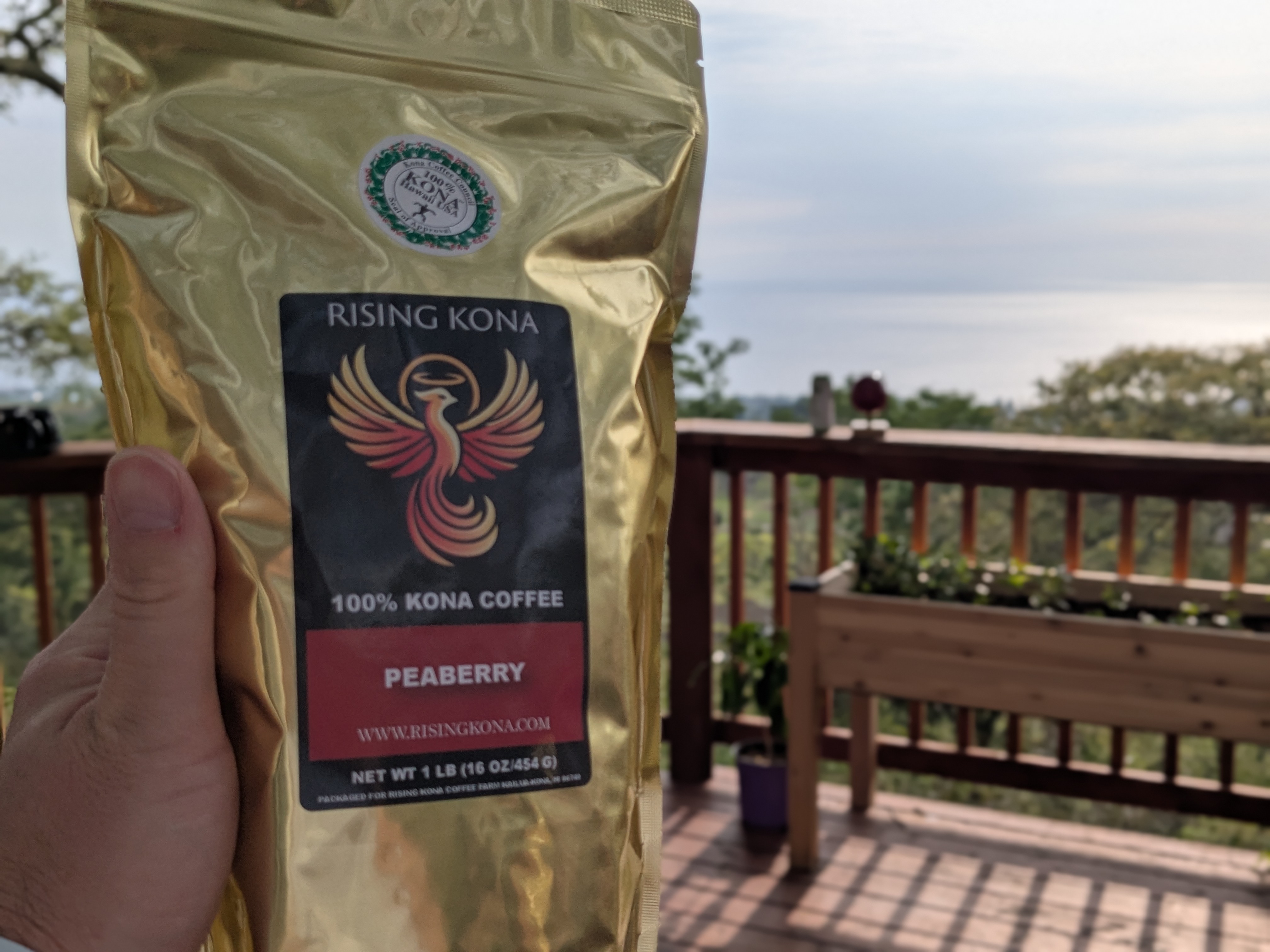 Rising Kona Coffee