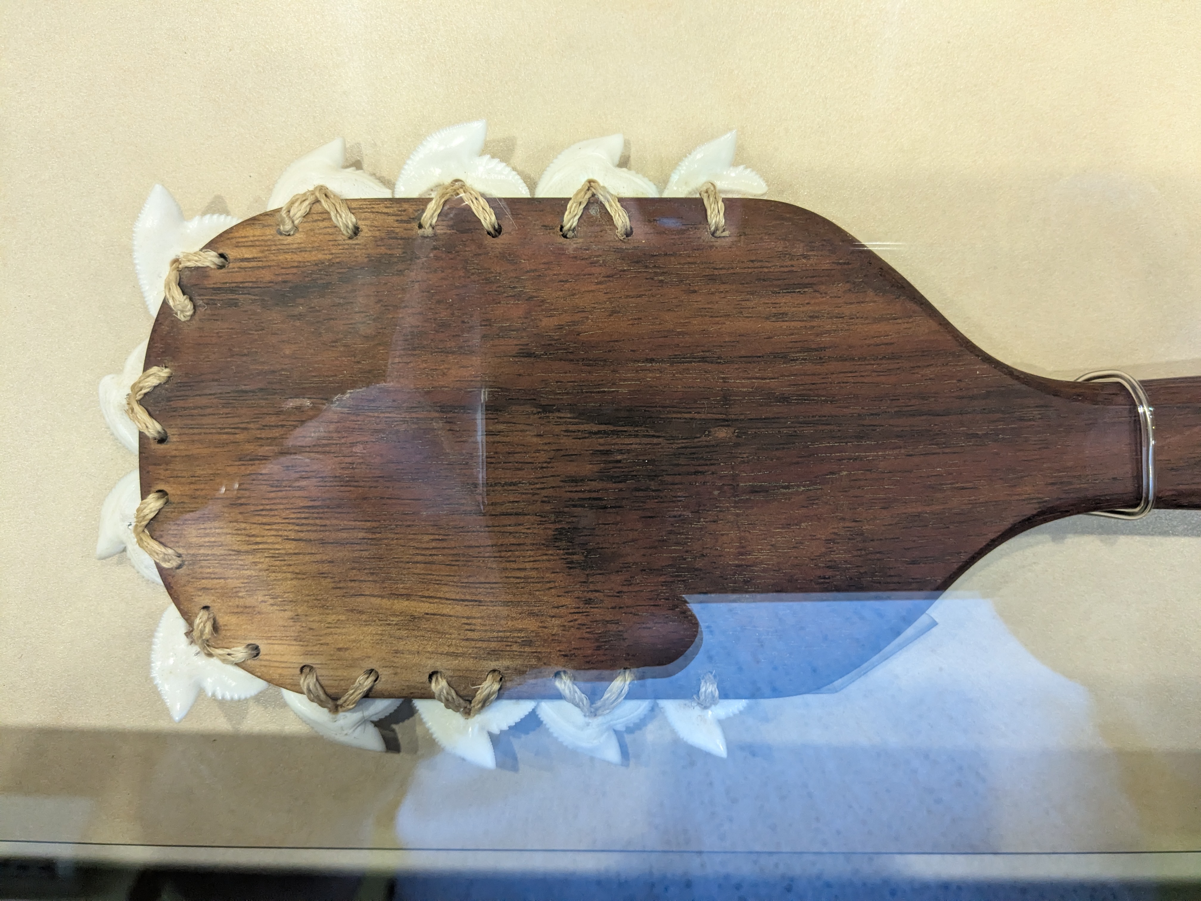 Puʻukoholā Heiau National Historic Site