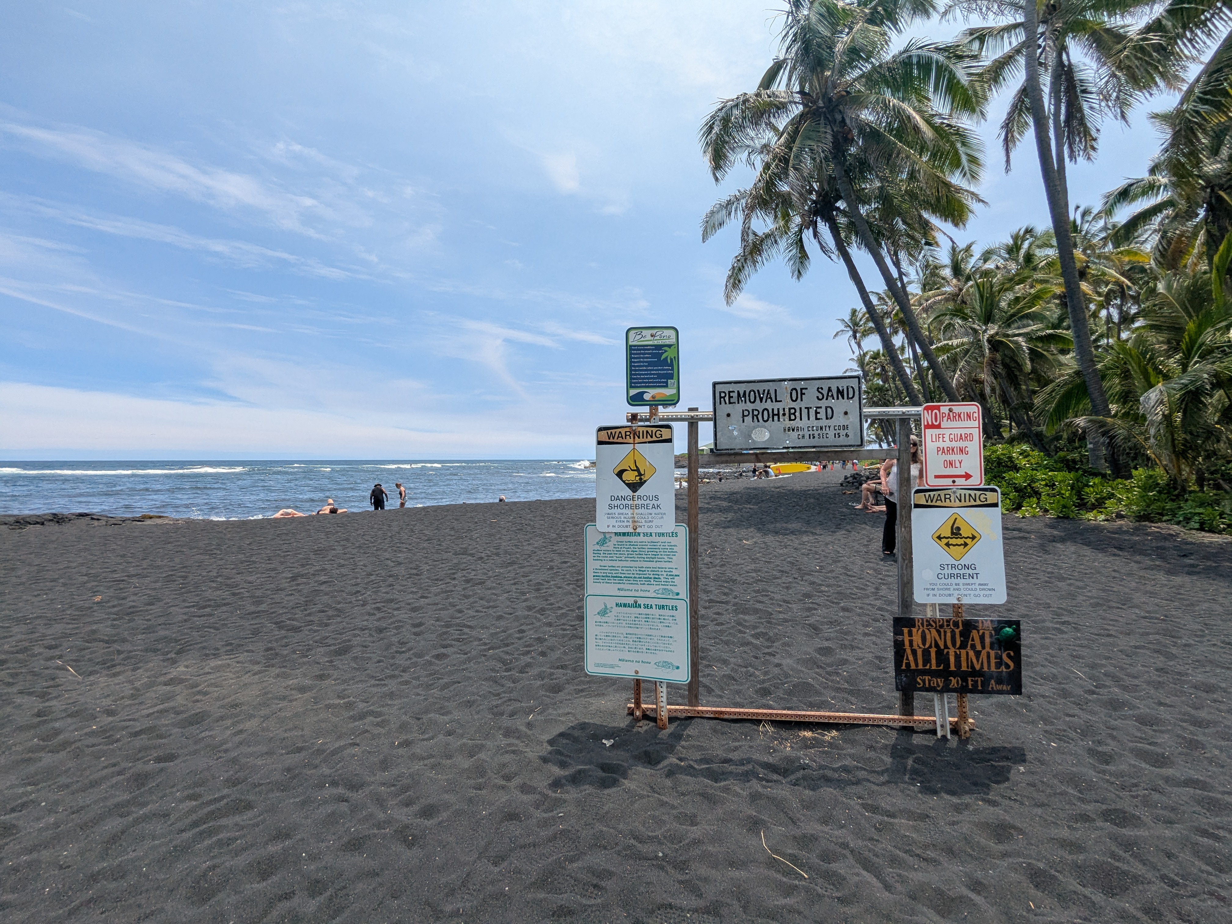 Punaluʻu Black Sand Beach