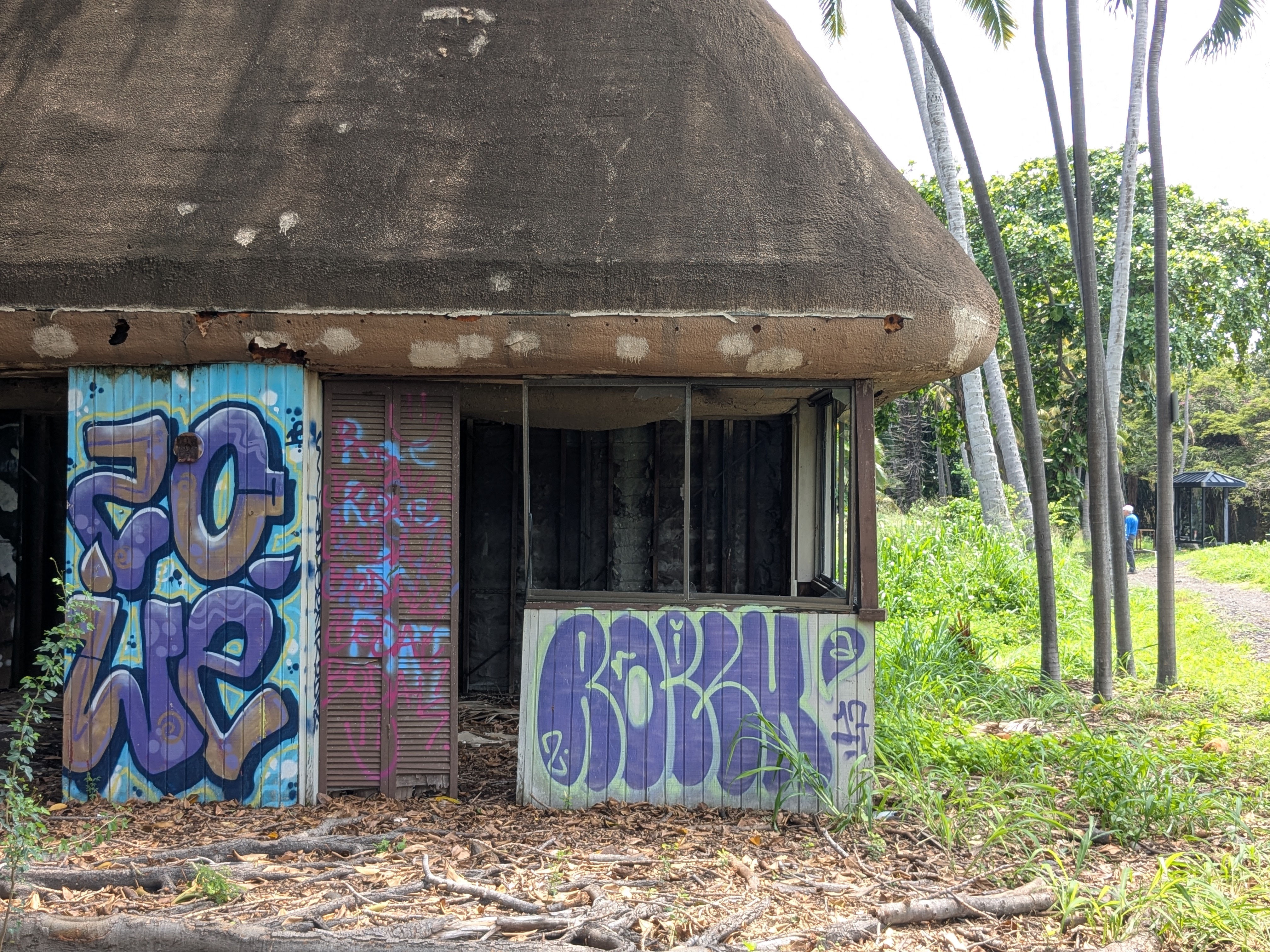 Punaluʻu Black Sand Beach