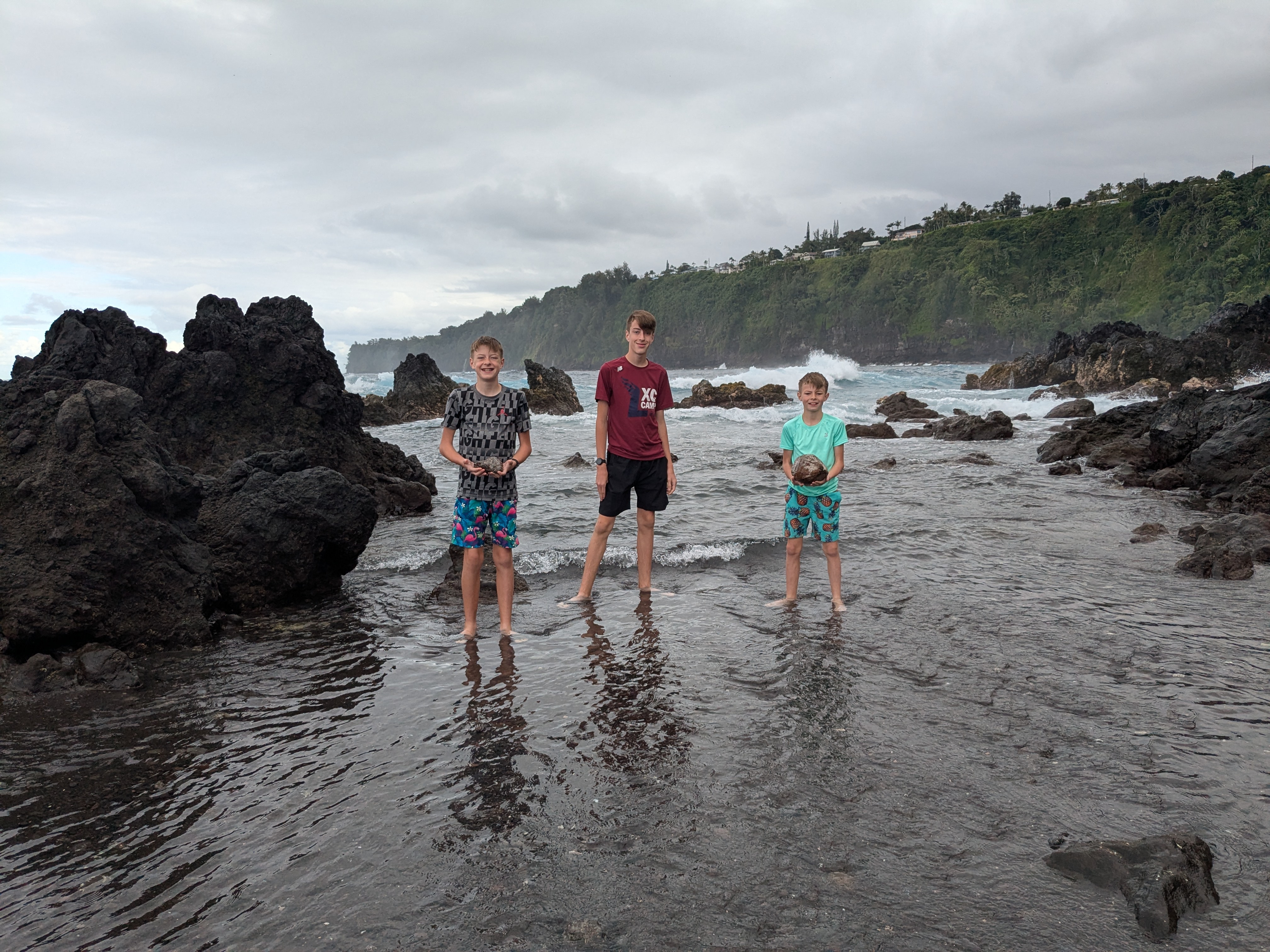 Laupahoehoe Point Beach Park