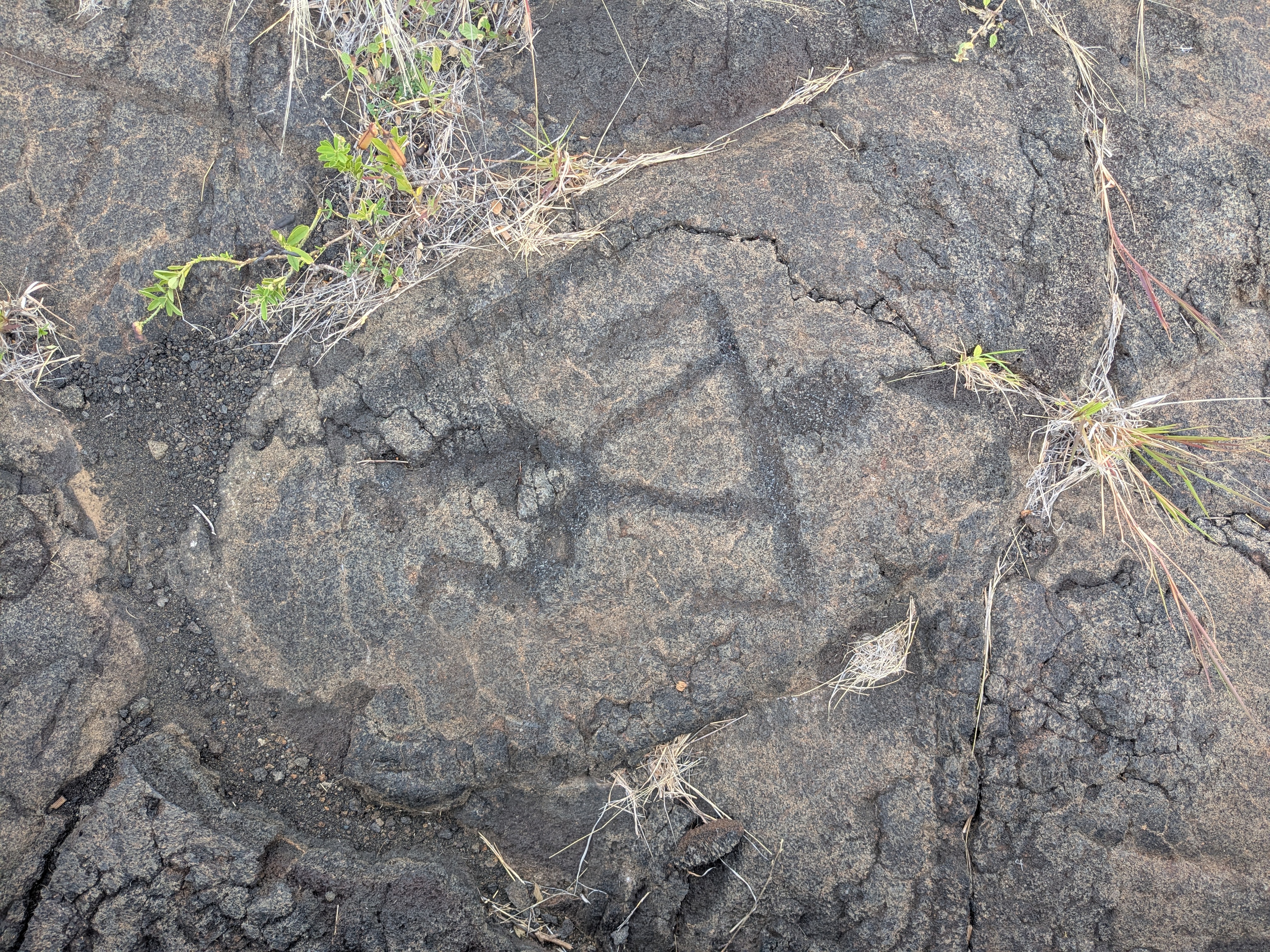 Petroglyphs @ Volcano National Park