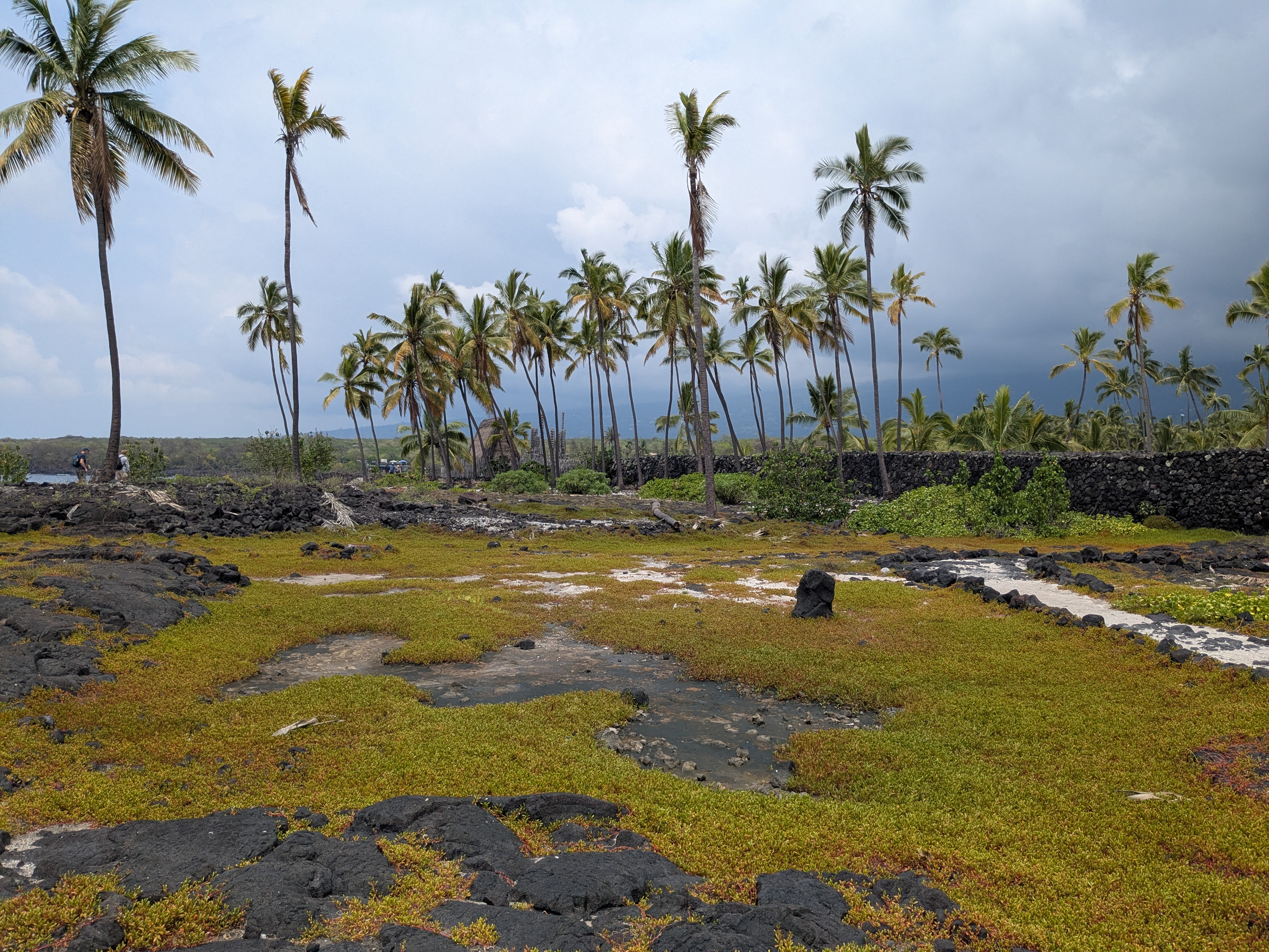 Pu'uhonua O Honaunau National Historical Park