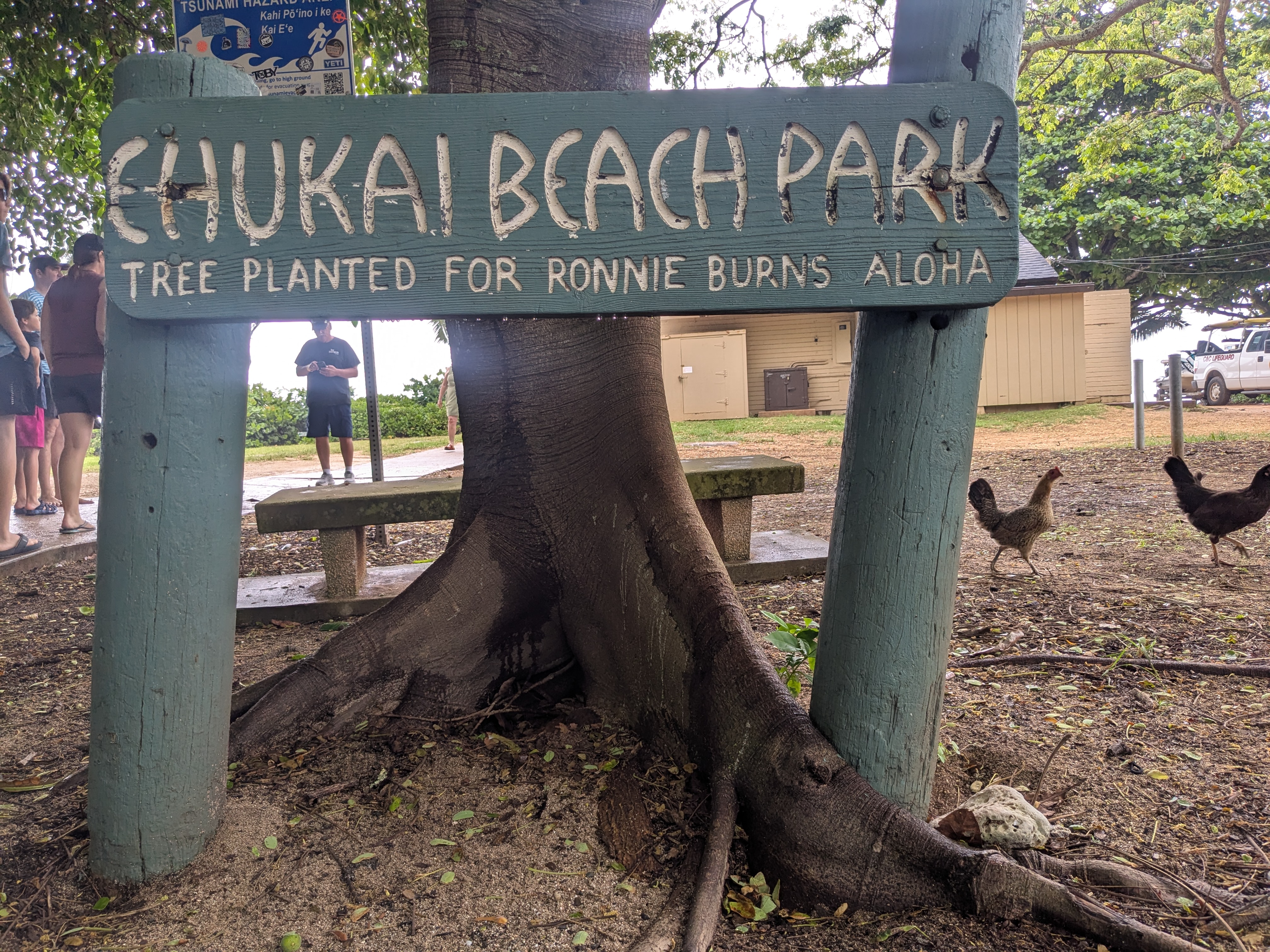ʻEhukai Beach (Pipeline)