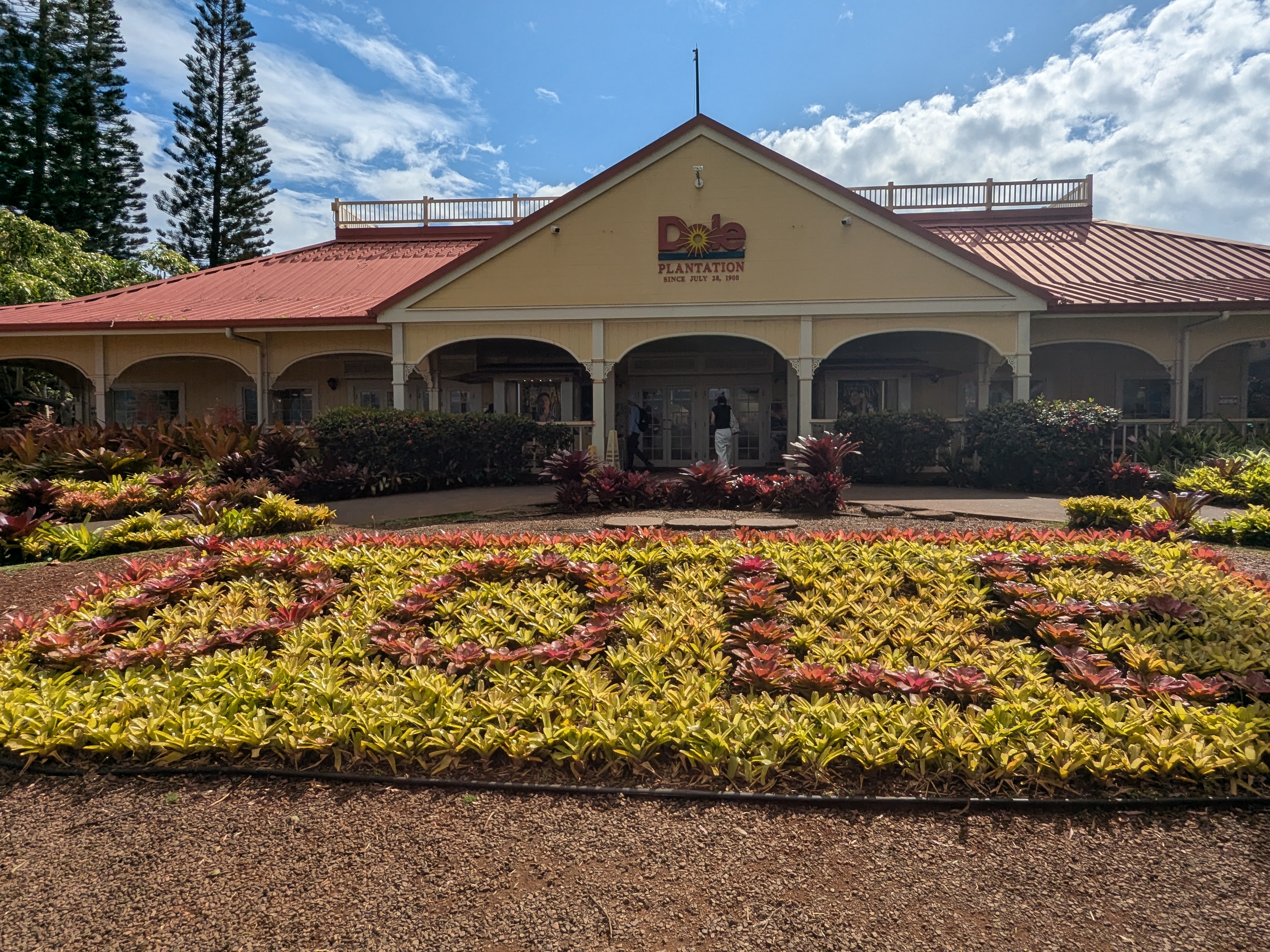 Dole Plantation