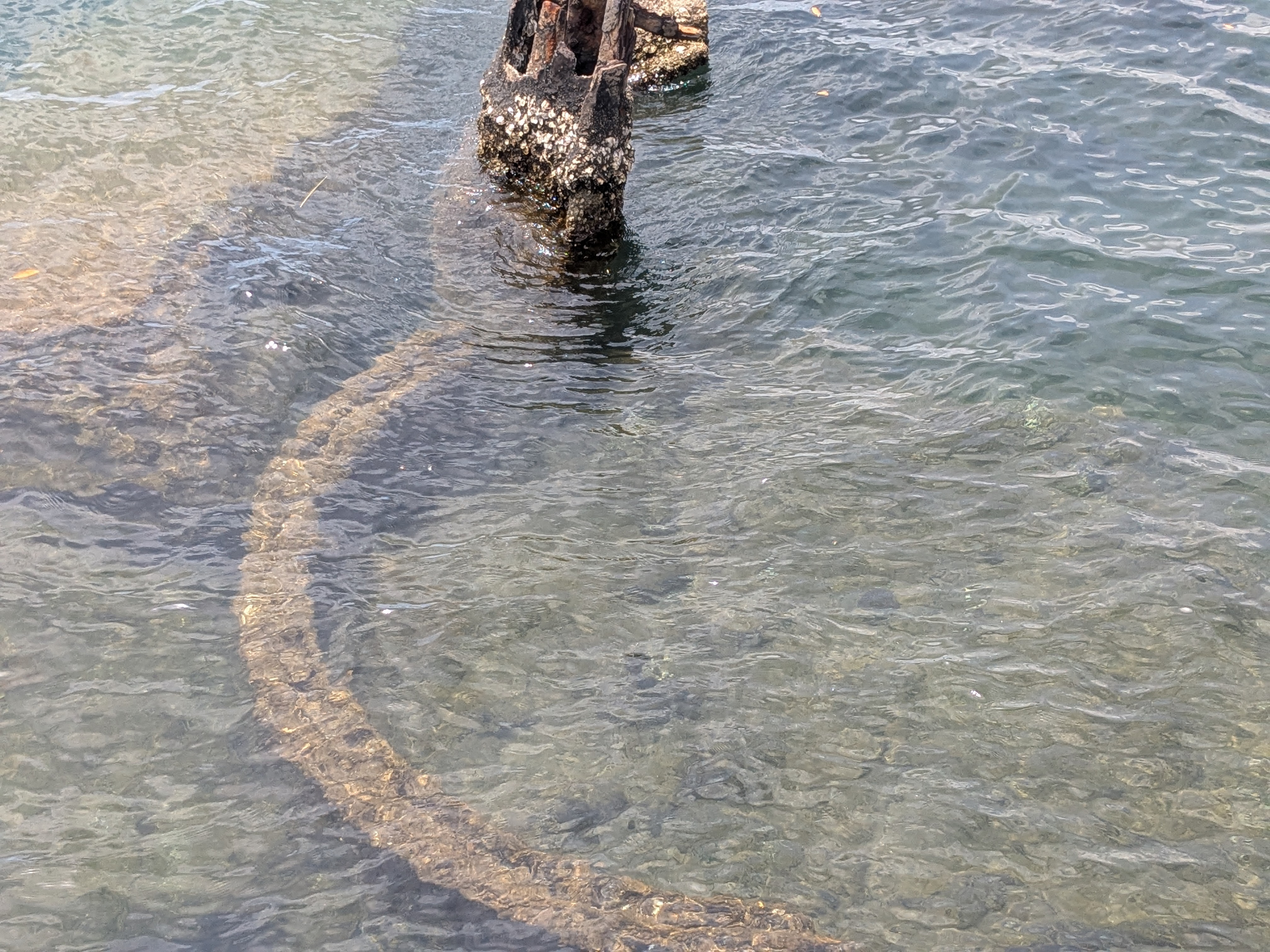 Pearl Harbor Memorial