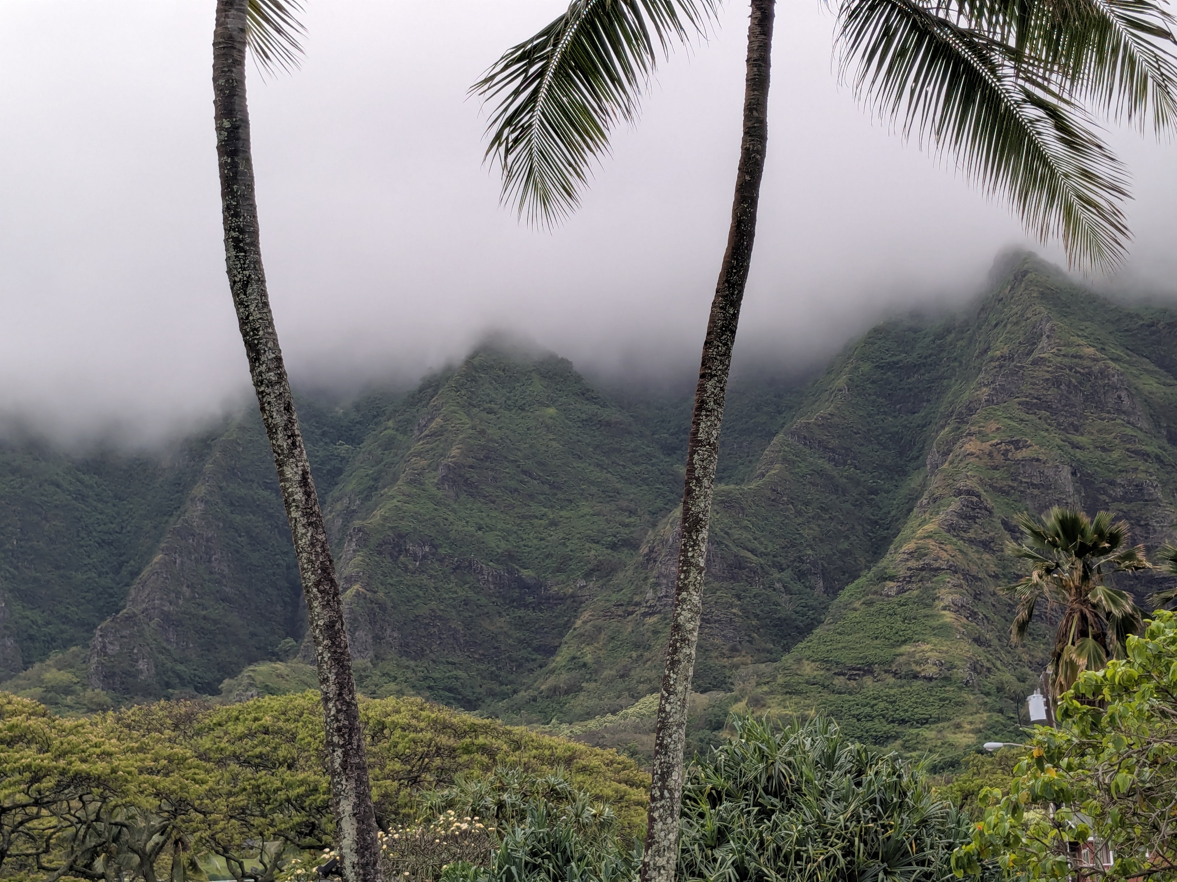 Kualoa Ranch: Jurassic Park