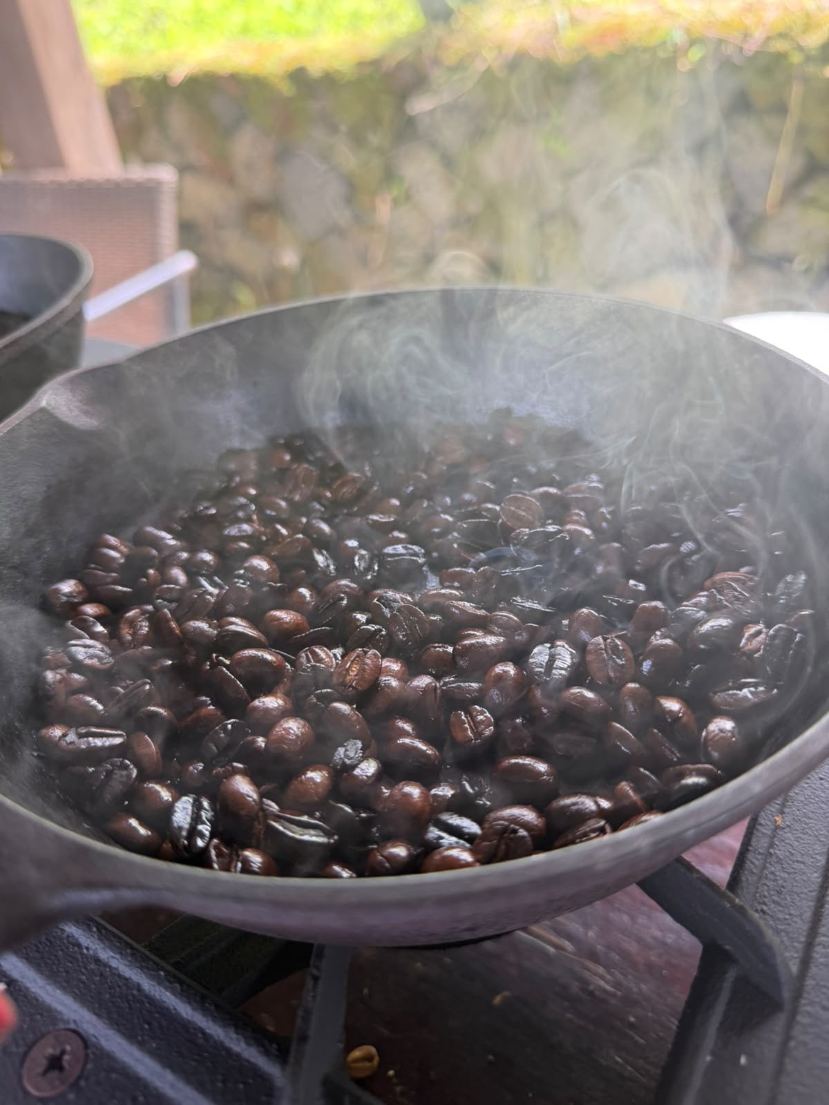 Kona coffee plantation 1