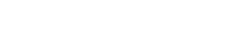 Partner 7
