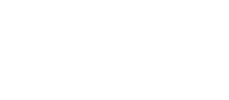 Partner 5