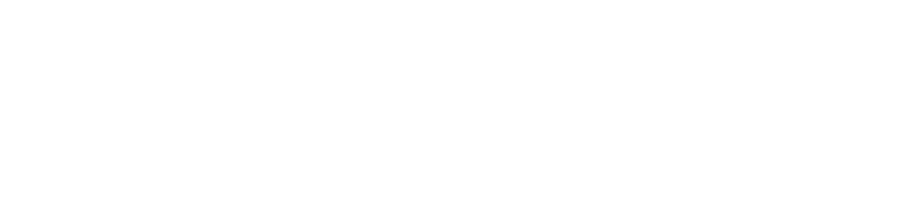 Partner 4